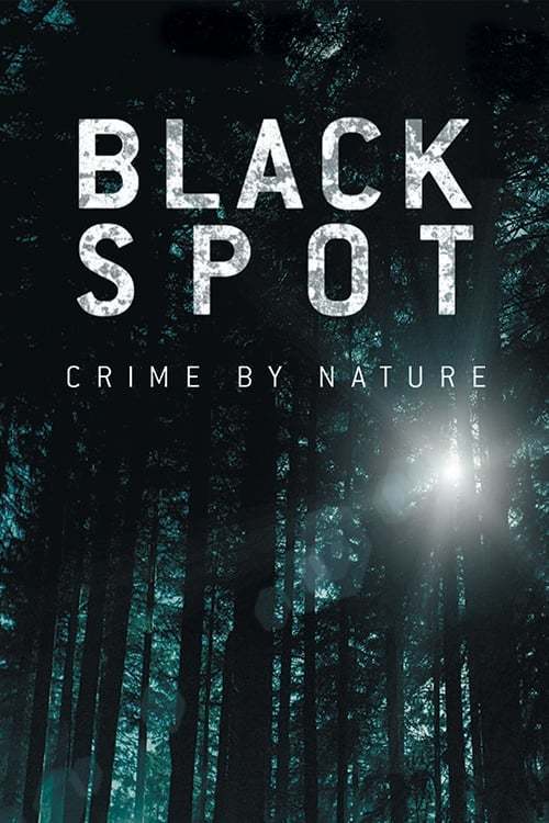 Black Spot poster